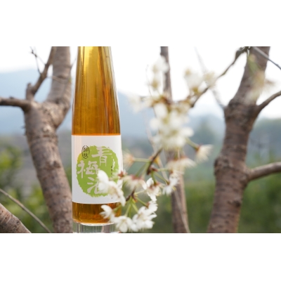 12°西岭雪山青梅酒（醉枝）【礼盒装】